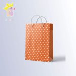 ساک دستی سایز A کد 038