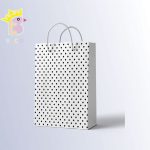 ساک دستی سایز B کد 008