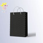 ساک دستی سایز B کد 007