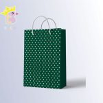 ساک دستی سایز B کد 010