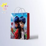 ساک دستی سایز B کد 040