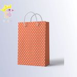 ساک دستی سایز B کد 050