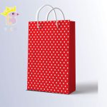 ساک دستی سایز C کد 010