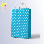 ساک دستی سایز C کد 014