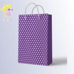 ساک دستی سایز C کد 046