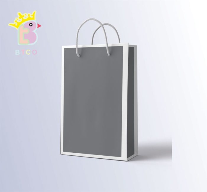 ساک دستی سایز C کد 050 - Image 1