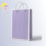 ساک دستی سایز C کد 051