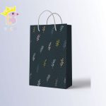 ساک دستی سایز C کد 009