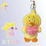 جاسوئیچی جوجه قلب بدست