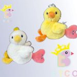 جاسوئیچی جوجه دم قلبی