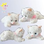 گربه موزیکال